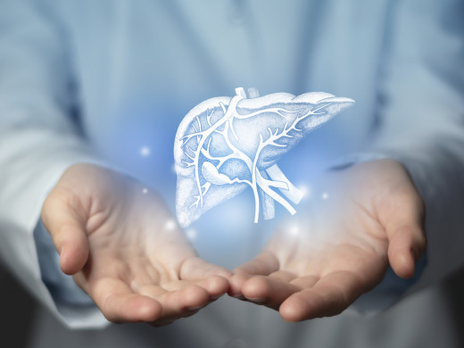 Světový den zdraví jater: miliony lidí trpí onemocněním jater, přesto o příčinách vědí jen velmi málo