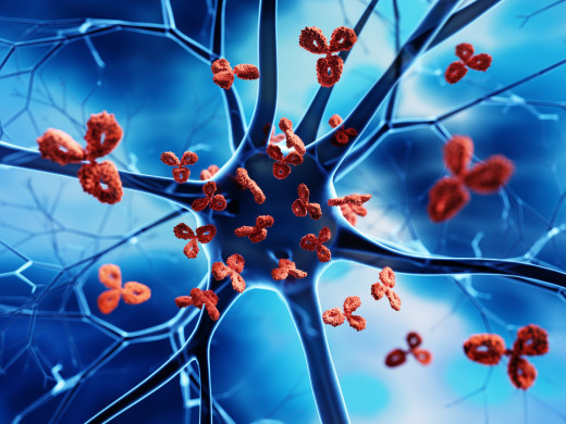 Autoimunitní neuropatie